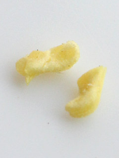 シロバナシランの2つに分かれた花粉塊 (撮影日:2025年5月20日)