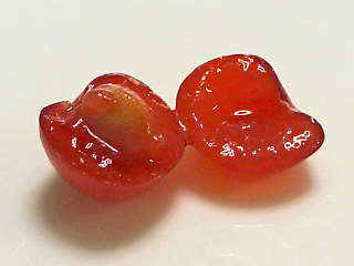 図1 ユスラウメ